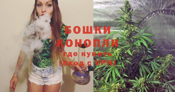 альфа пвп Новодвинск