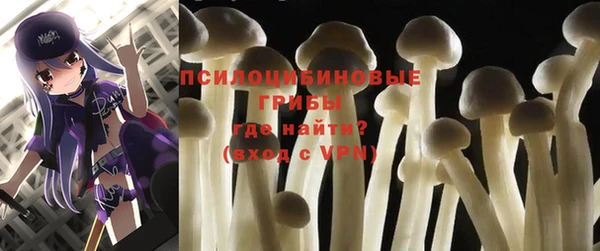 мдпв Новозыбков