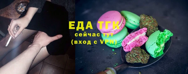 мдпв Новозыбков