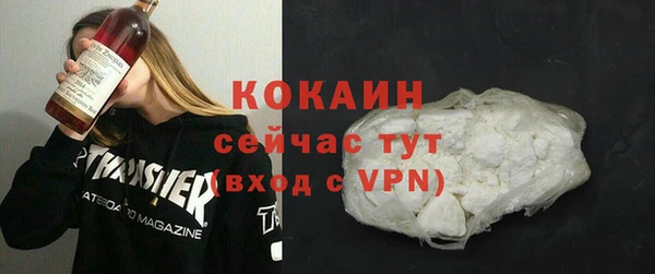 мдпв Новозыбков