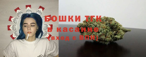 мдпв Новозыбков