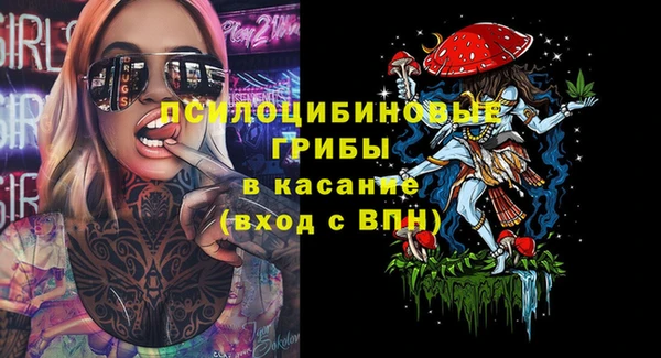 мдпв Новозыбков