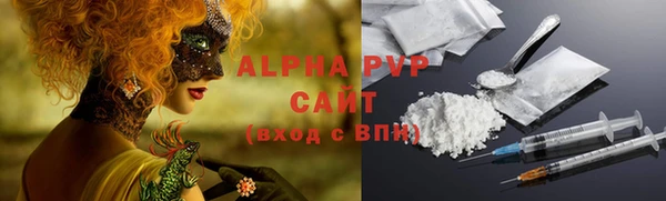 мдпв Новозыбков