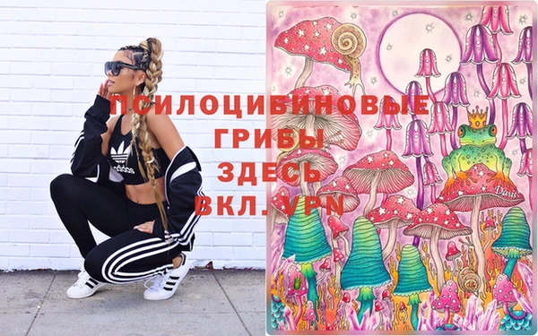мдпв Новозыбков