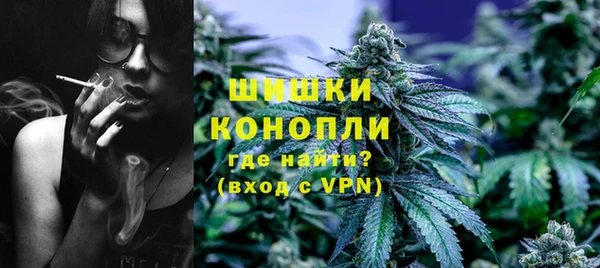 альфа пвп Новодвинск