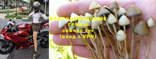 каннабис Новокубанск
