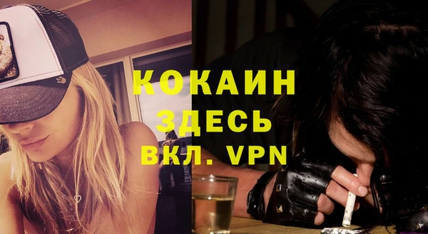 мдпв Новозыбков