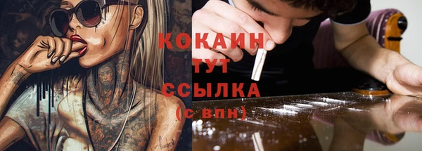 альфа пвп Новодвинск