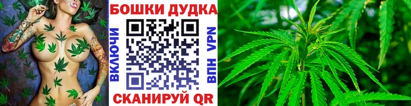 Конопля план  Братск 